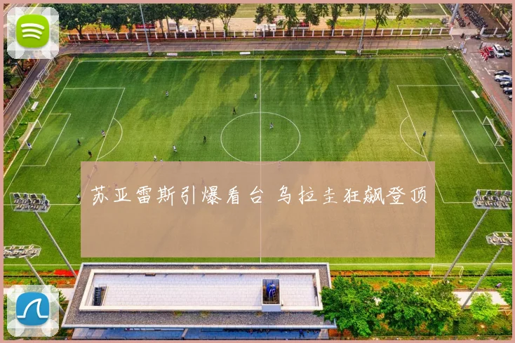 苏亚雷斯引爆看台 乌拉圭狂飙登顶