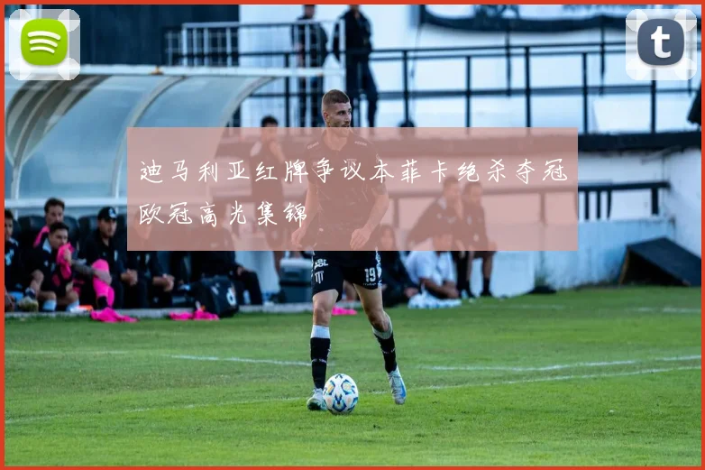迪马利亚红牌争议本菲卡绝杀夺冠欧冠高光集锦