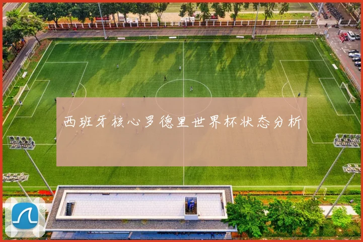 西班牙核心罗德里世界杯状态分析