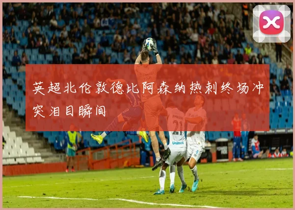 英超北伦敦德比阿森纳热刺终场冲突泪目瞬间