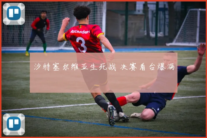 沙特塞尔维亚生死战 决赛看台爆满