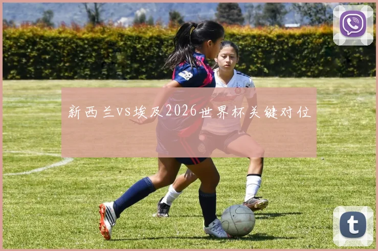 新西兰vs埃及2026世界杯关键对位