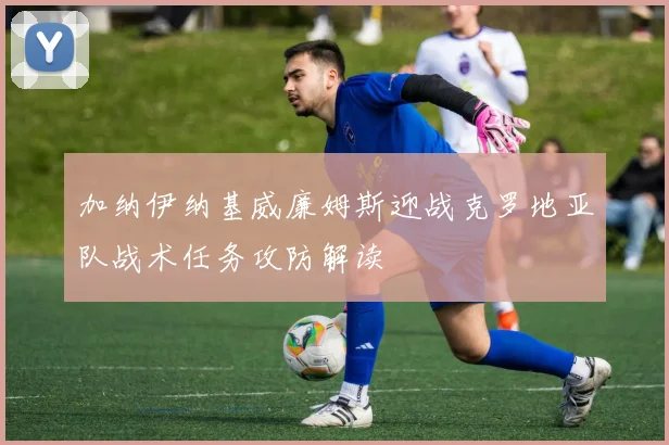 加纳伊纳基威廉姆斯迎战克罗地亚队战术任务攻防解读