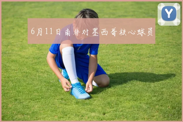 6月11日南非对墨西哥核心球员