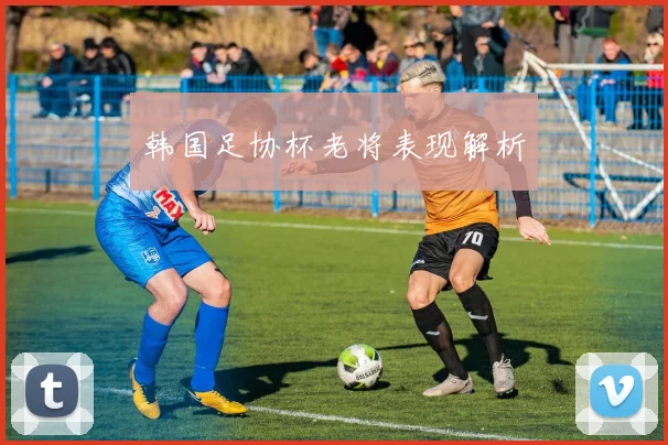 韩国足协杯老将表现解析